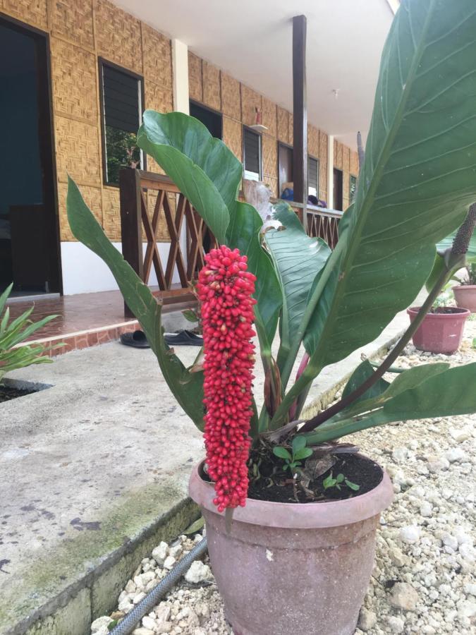 Panglao Rainbow Inn 塔比拉兰 外观 照片